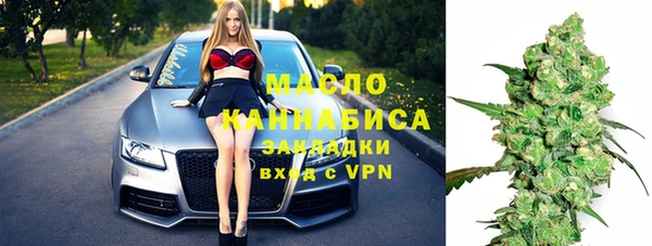 соль ск Тайга